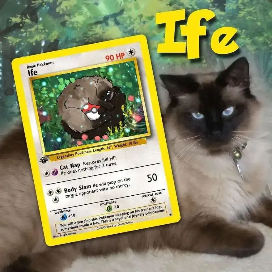 Artist Illustrates Pets Into Pokemon Cards And They Look Absolutely ...