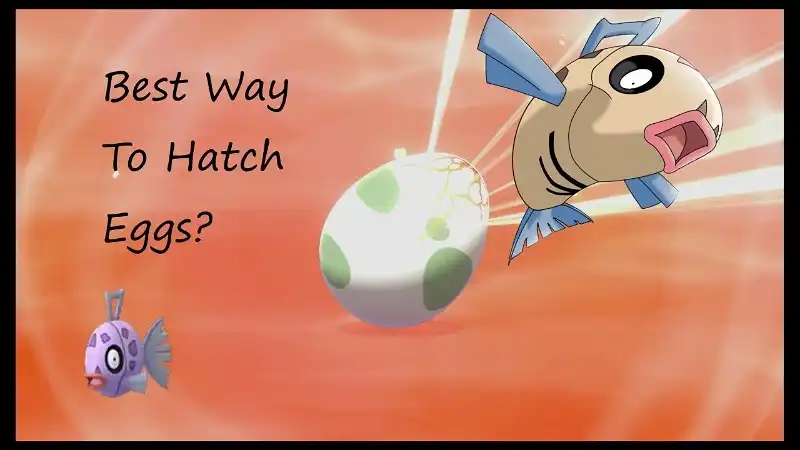 Best Way To Hatch Eggs In Pokemon Sword