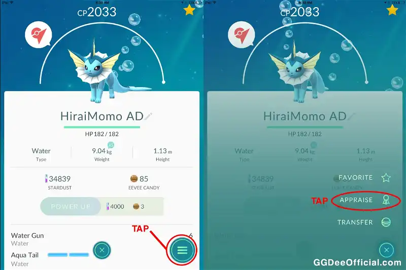 Dees Pokémon GO guide to IV Appraisals