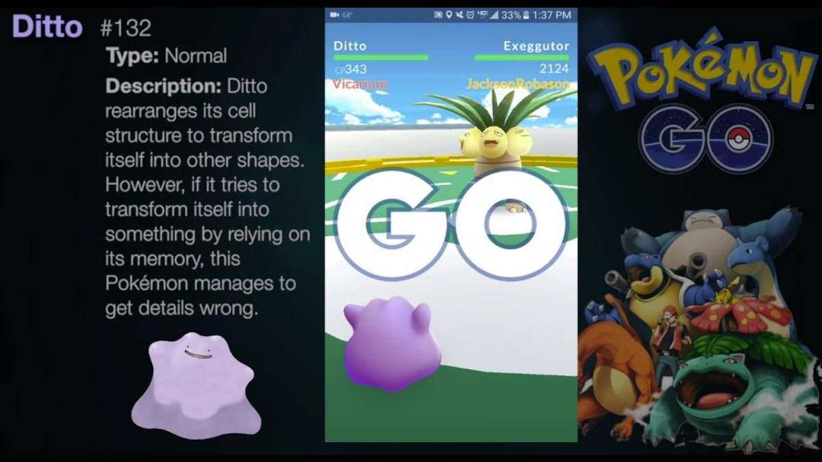Ditto Gym Battle Gameplay in Pokémon GO