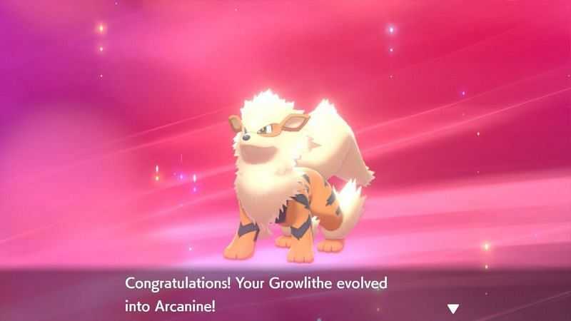 How to catch Arcanine in Pokemon Sword and Shield: Get all ...