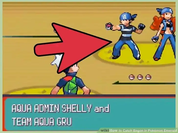 How to Catch Bagon in Pokémon Emerald (with Pictures ...