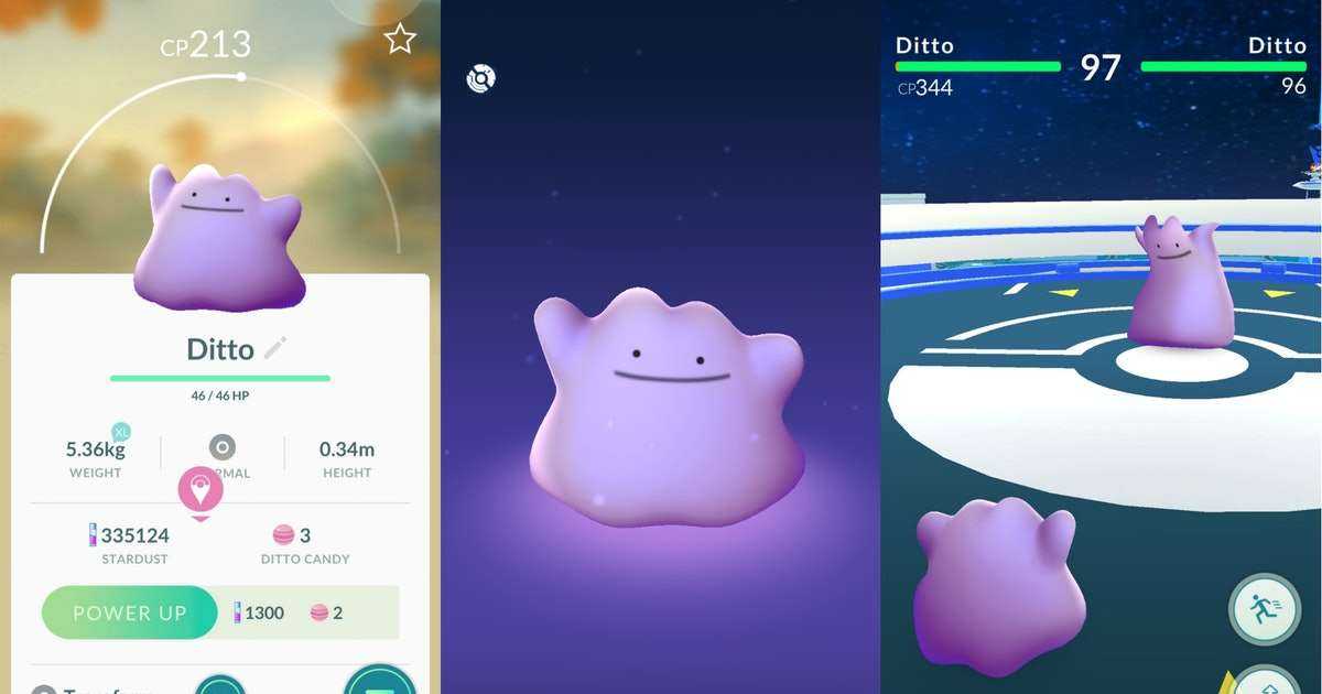 How to catch Ditto in 