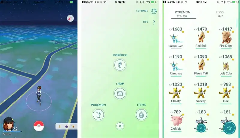 How to check your Pokémon
