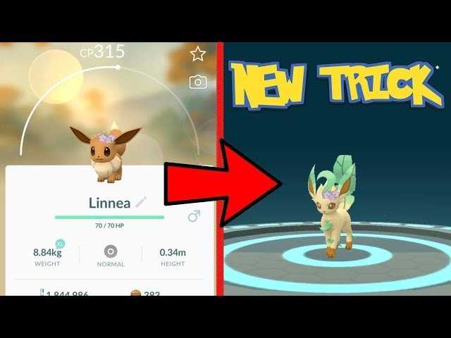 How to get a Leafeon in Pokemon GO