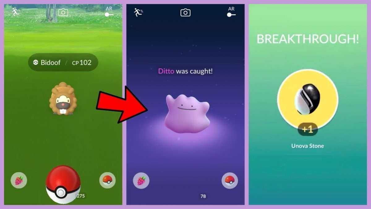 HOW TO GET A UNOVA STONE IN POKEMON GO! New Ditto Disguises Found ...