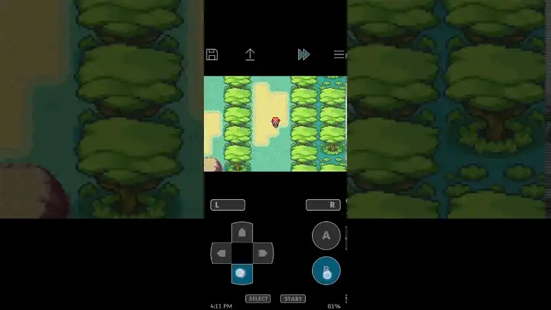 How to get surf in pokemon fire red version
