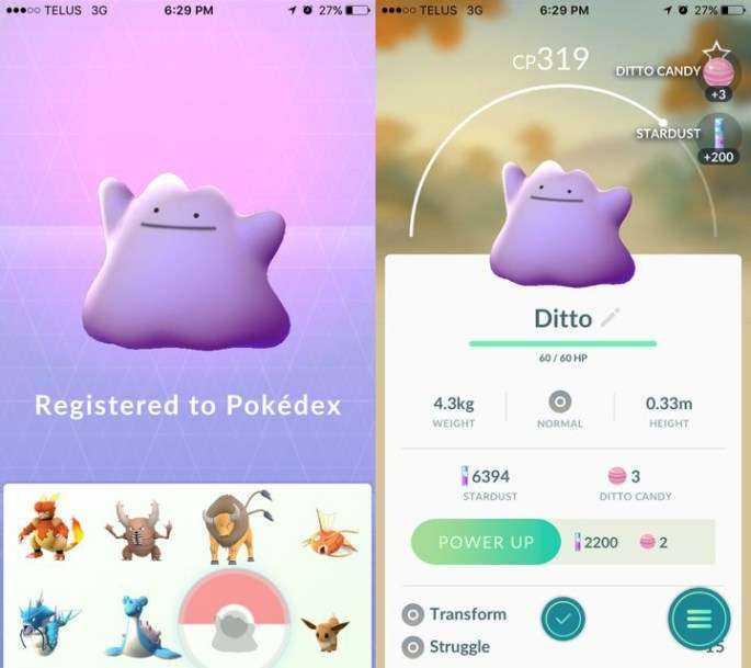 No Longer Denied, you can Now Catch Ditto in Pokémon GO!