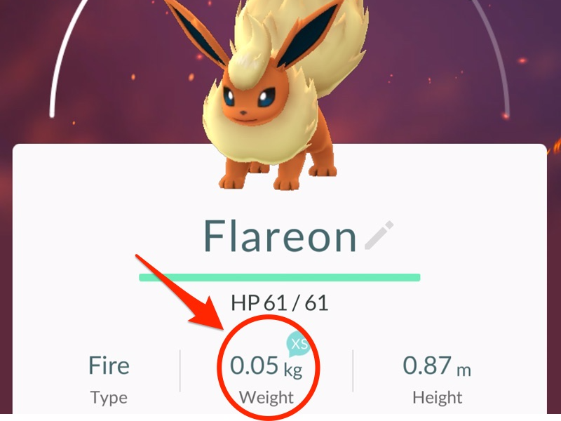 PokÃ©mon Go are noticing something strange about the PokÃ©mon they catch ...