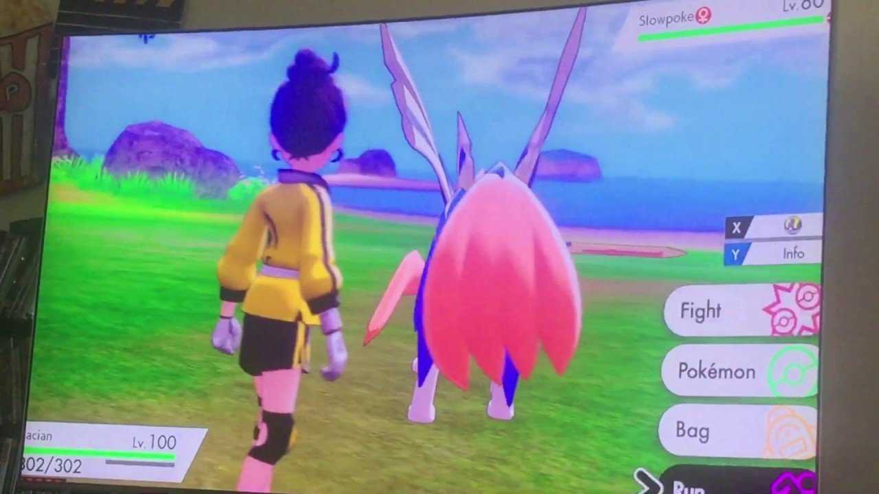 Pokémon Following you in Isle of Armor?