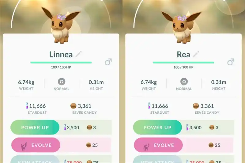 Pokemon GO Shiny Eevee boost: Another chance!