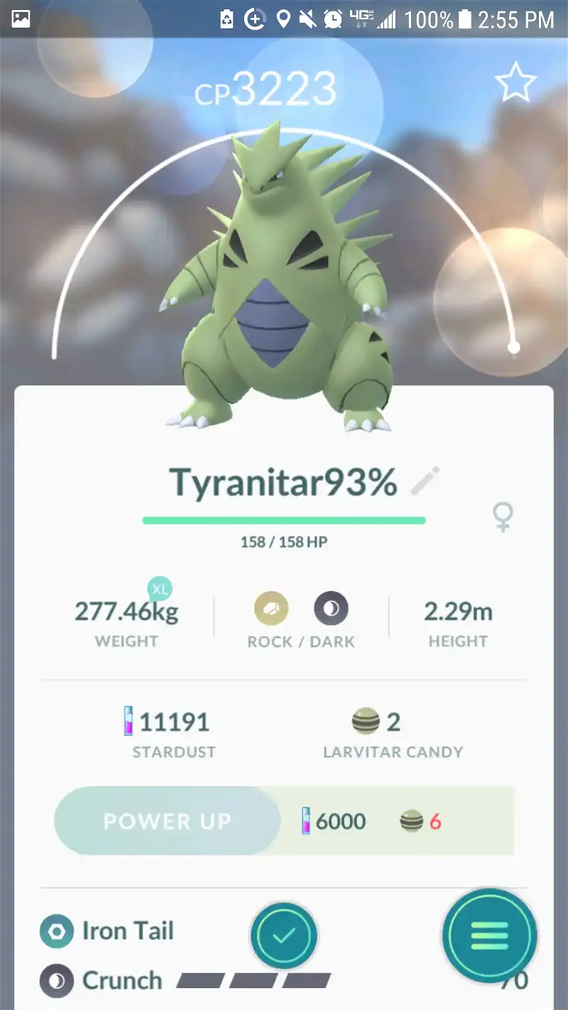 Well, my second Tyranitar followed up quickly.